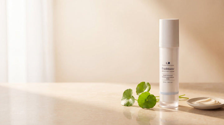 Crème coréenne hydratante ExoBlanc, meilleure crème coréenne 2026